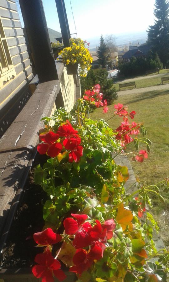 Svajciarsky Dom Guest House Vysoke Tatry Luaran gambar